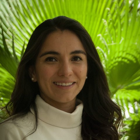 Dra. Elysse Bautista González